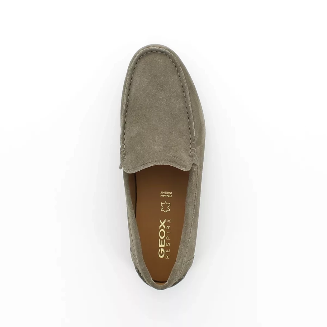 Image (6) de la chaussures Geox - Mocassins Taupe en Cuir nubuck