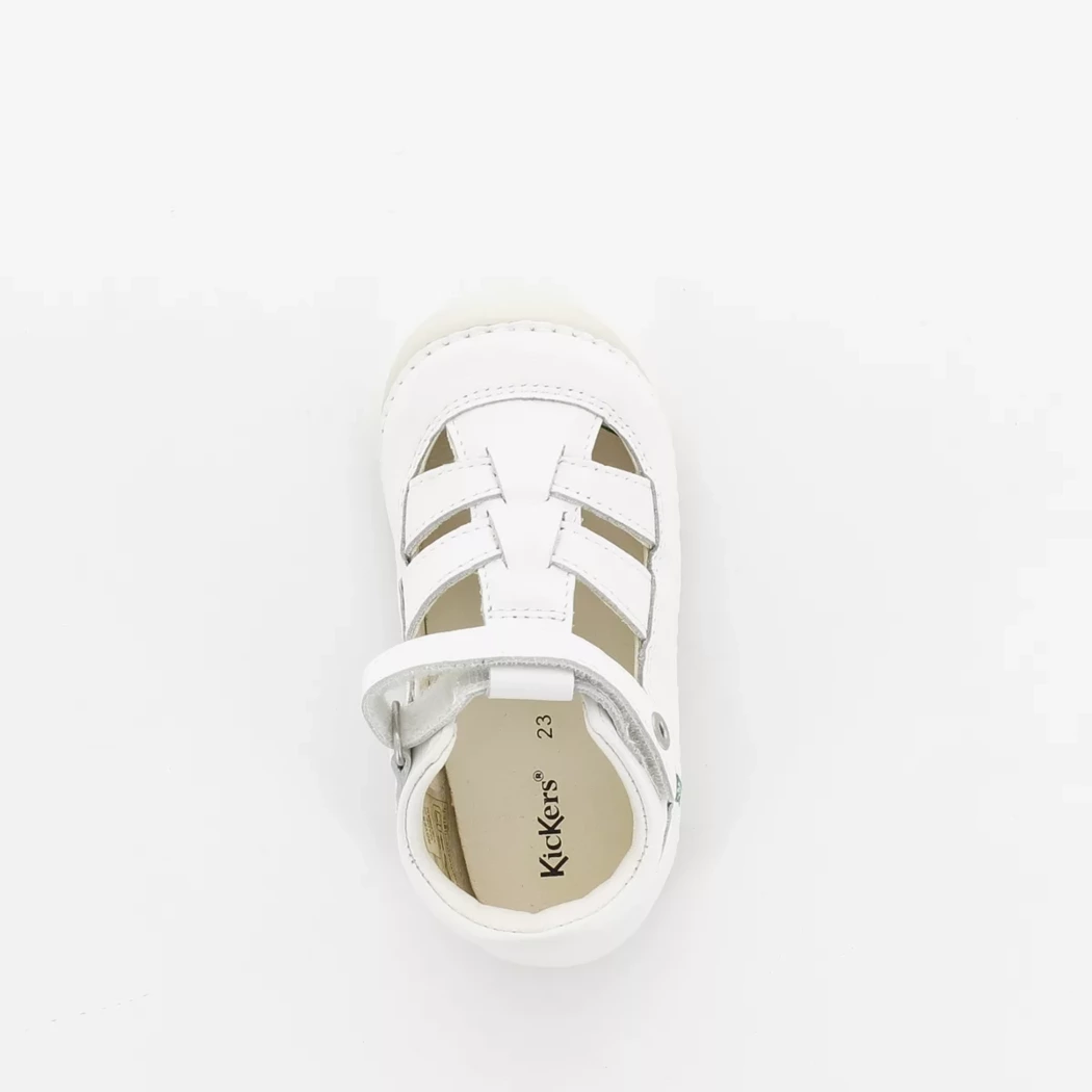 Image (6) de la chaussures Kickers - Bottines ouvertes Blanc en Cuir
