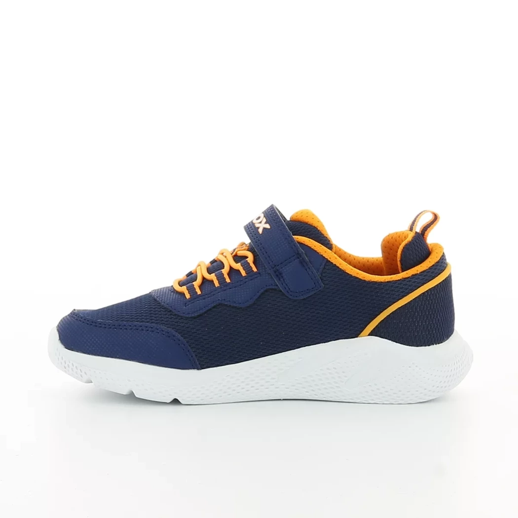 Image (4) de la chaussures Geox - Baskets Bleu en Cuir nubuck